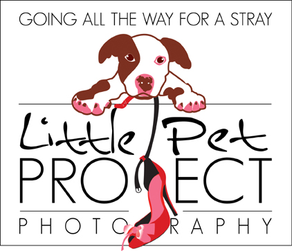 Little_Pet_Project_Logo_for_web