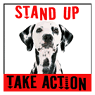 stand-up-take-action