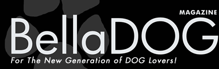 BellaDOG Magazine - It's a Dog-Gone Beautiful Life